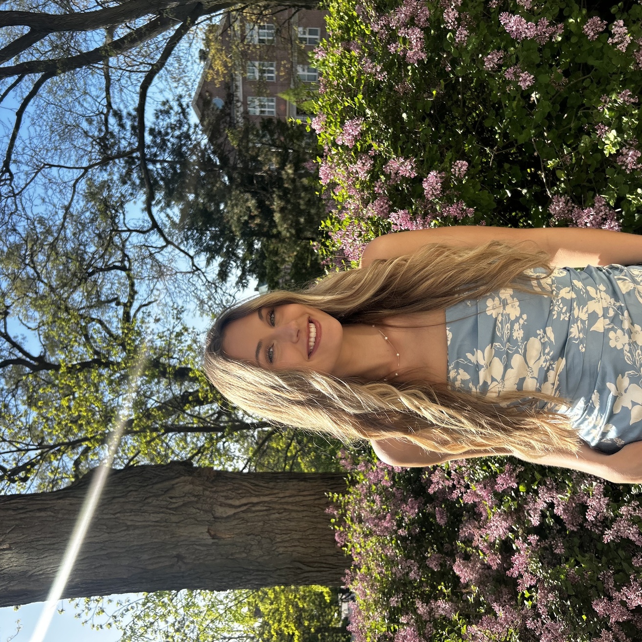 Picture of Alida Comilla